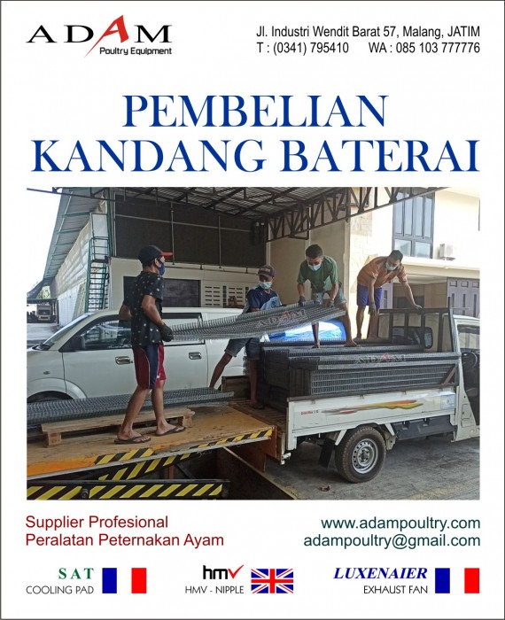 Kandang Baterai Bawah saja