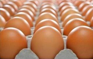 harga telur ayam ras hari ini
