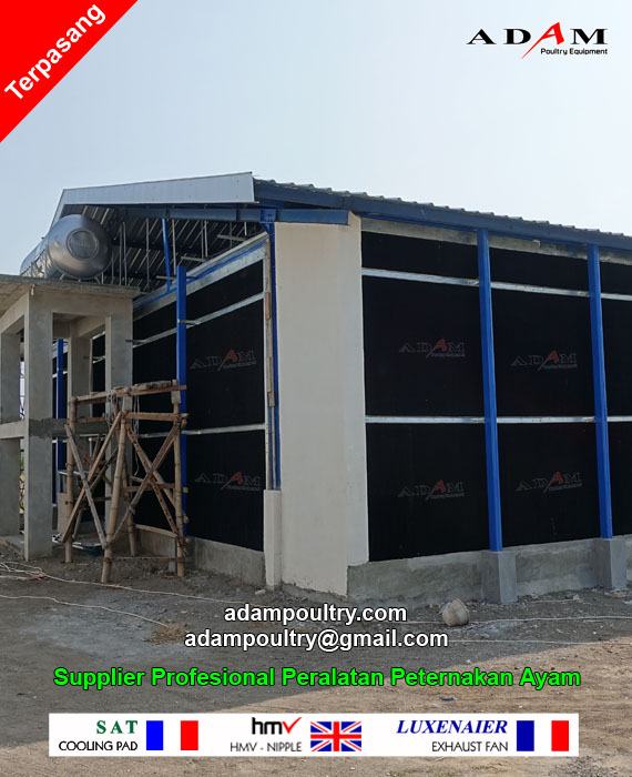 chelldeck celdek